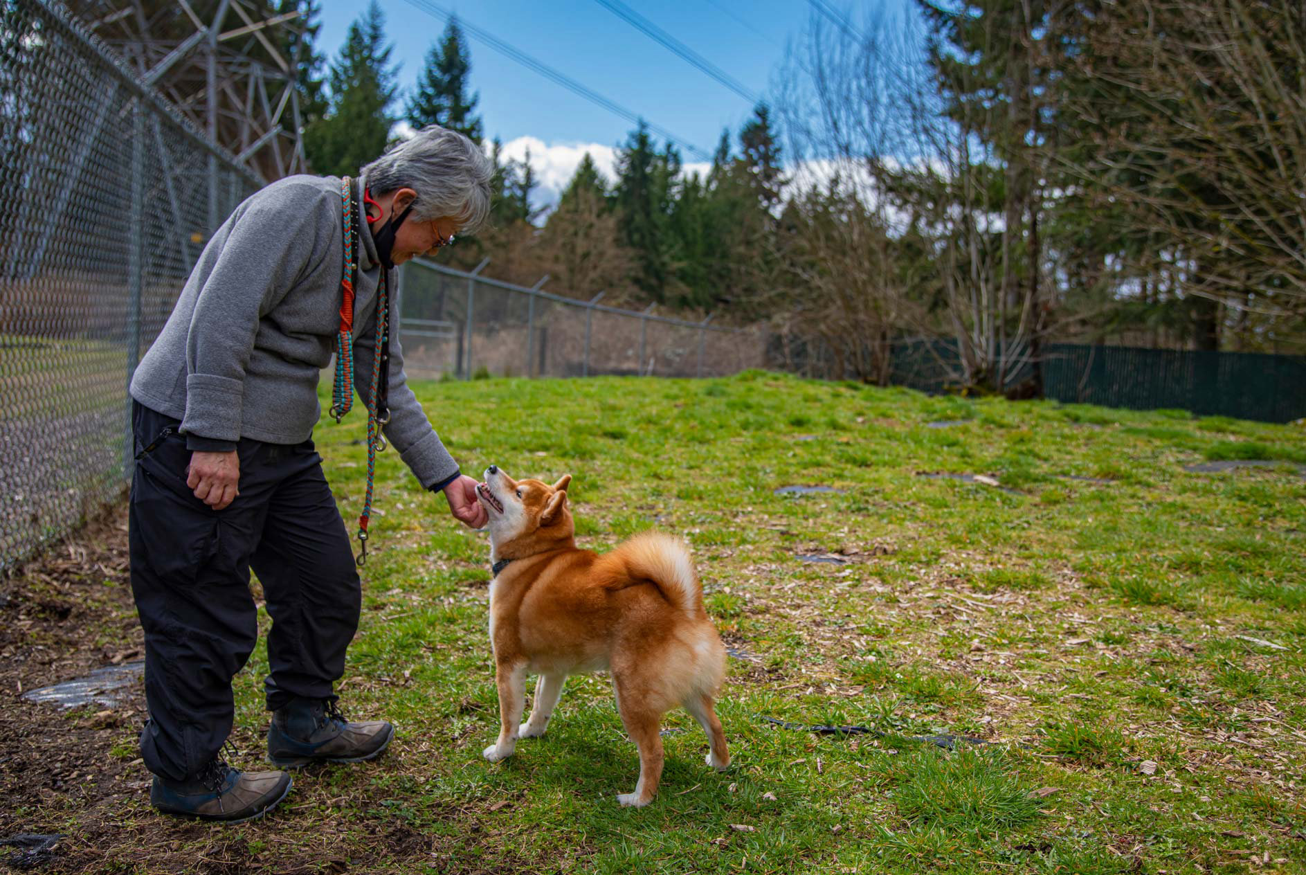 Become a Host - Help Dogs And Make Money With Your Yard