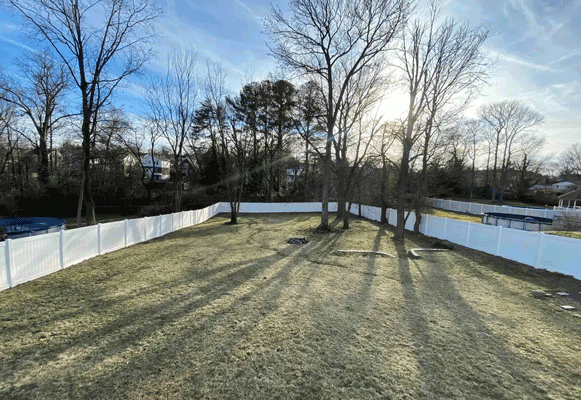 Fully fenced dog parks thumbnail