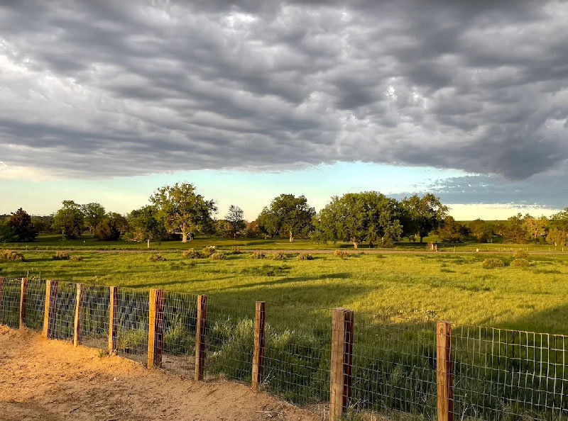 Kennedy Dog Park in Denver, a public dog park. Open daily.